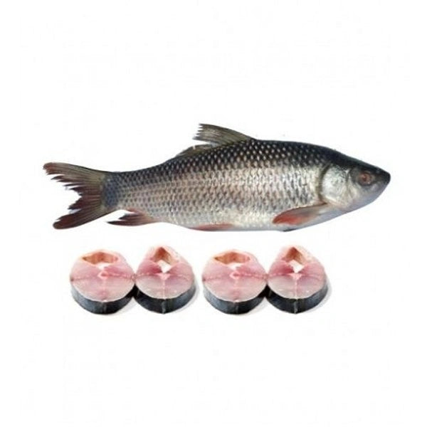 Fish Rehu (Bone)