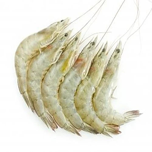Prawns
