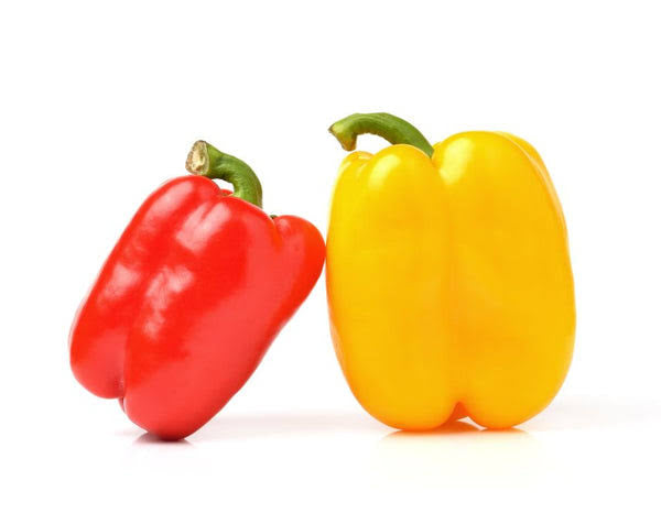 Red + Yellow (Shimla) Vegetable