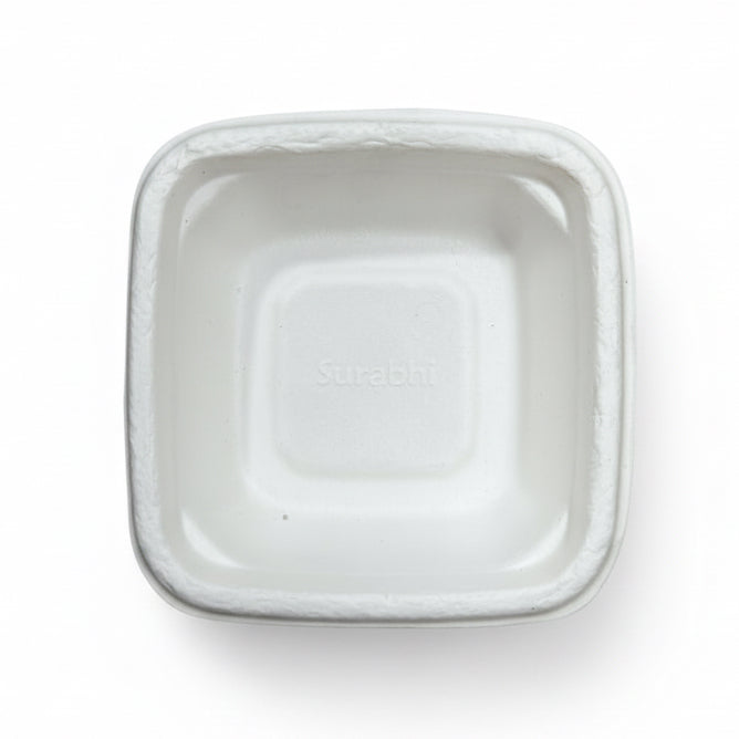 Starter Plate ( M-Size )