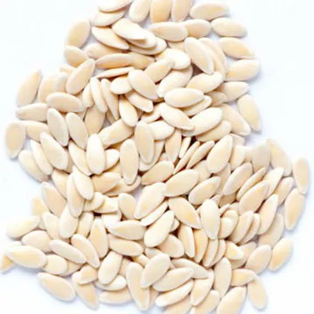 Kheera Beej / Cucumber Seeds