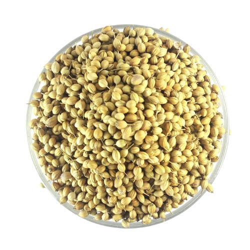 Khara Dhaniya/Coriander