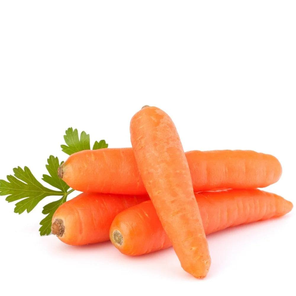 Carrot (Gajar)
