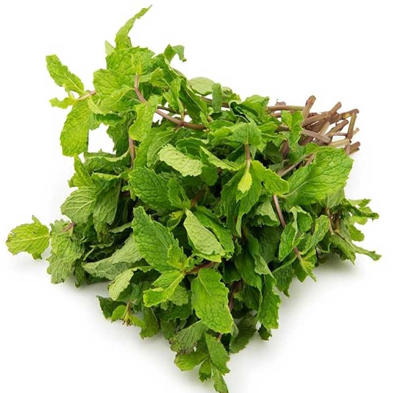 Mint (Pudina)