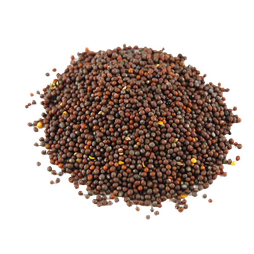 Black Mustard Seed (Rai)