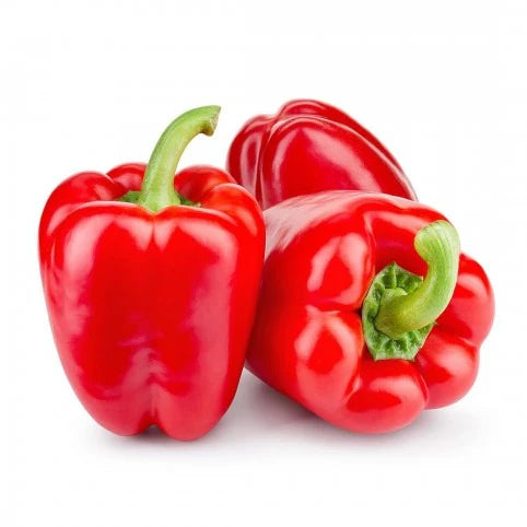 Red Capsicum (Laal Shimla)