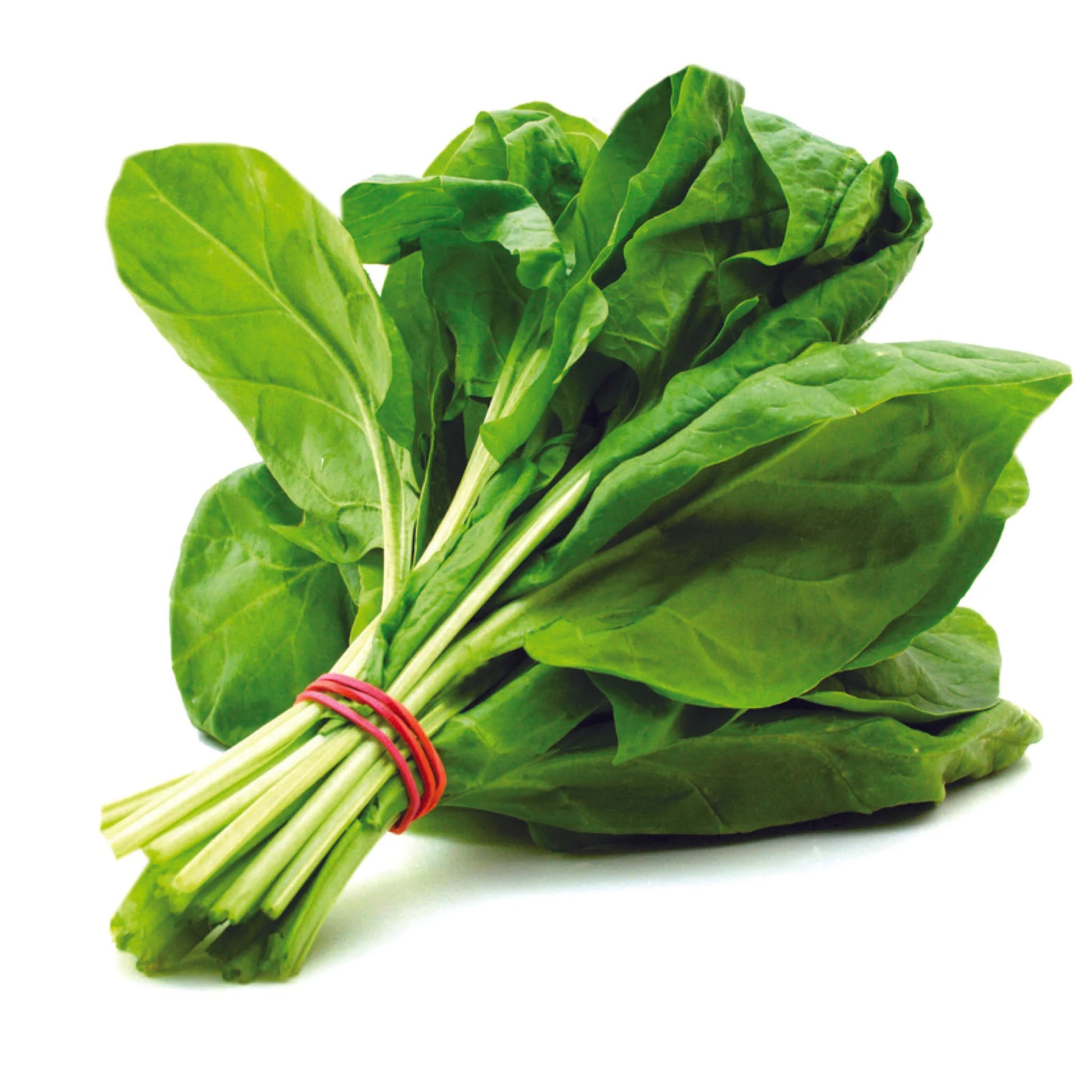 Spinach (Palak)